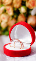 Wedding Rings